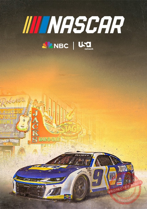 synciptv-_0002_Layer-9-1